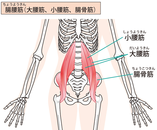 腰 が 痛い とき の 寝 方