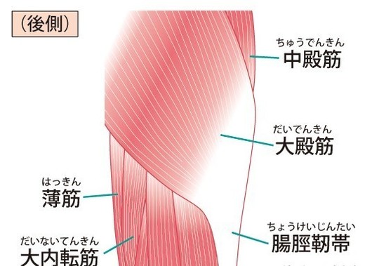 腰痛の筋トレを教えています 横浜市の整体あくわ