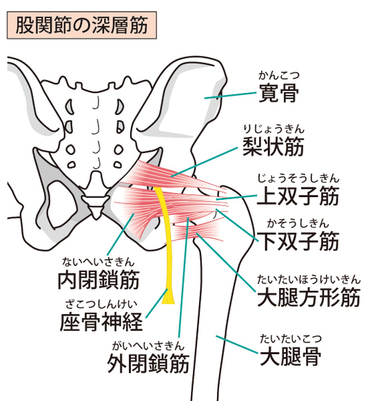 腰痛になる座り方 横浜あくわ整骨院
